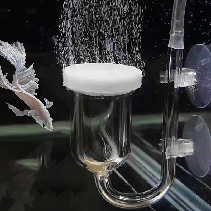 Marine Aquarium Nano - Cam hava pompası kum taş akvaryum