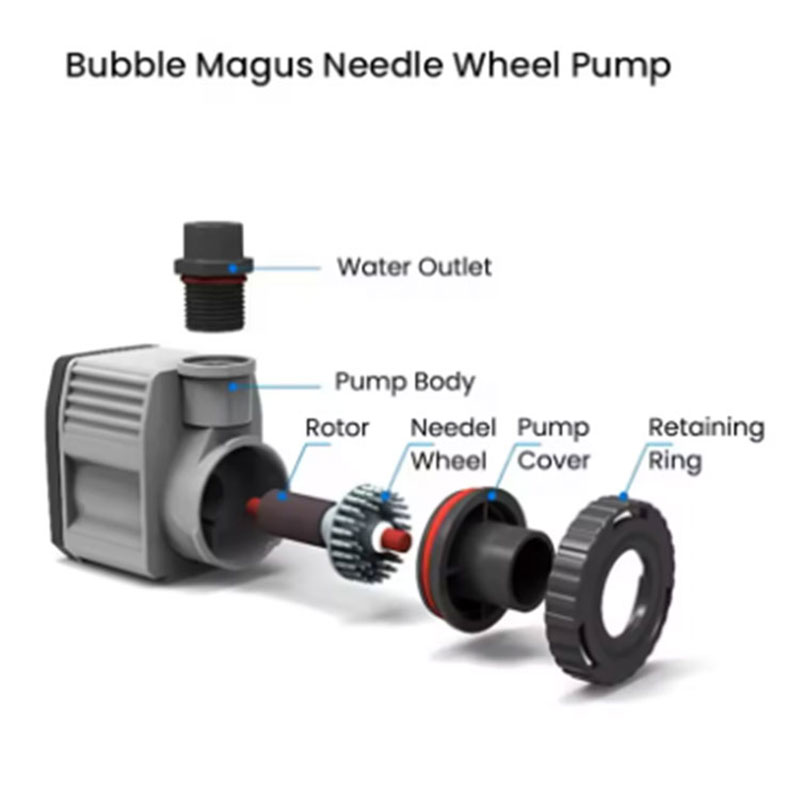 Bubble Magus BM QQ2 Dahili Pro - Marine Aquarium Nano incelemesi ve fiyatı