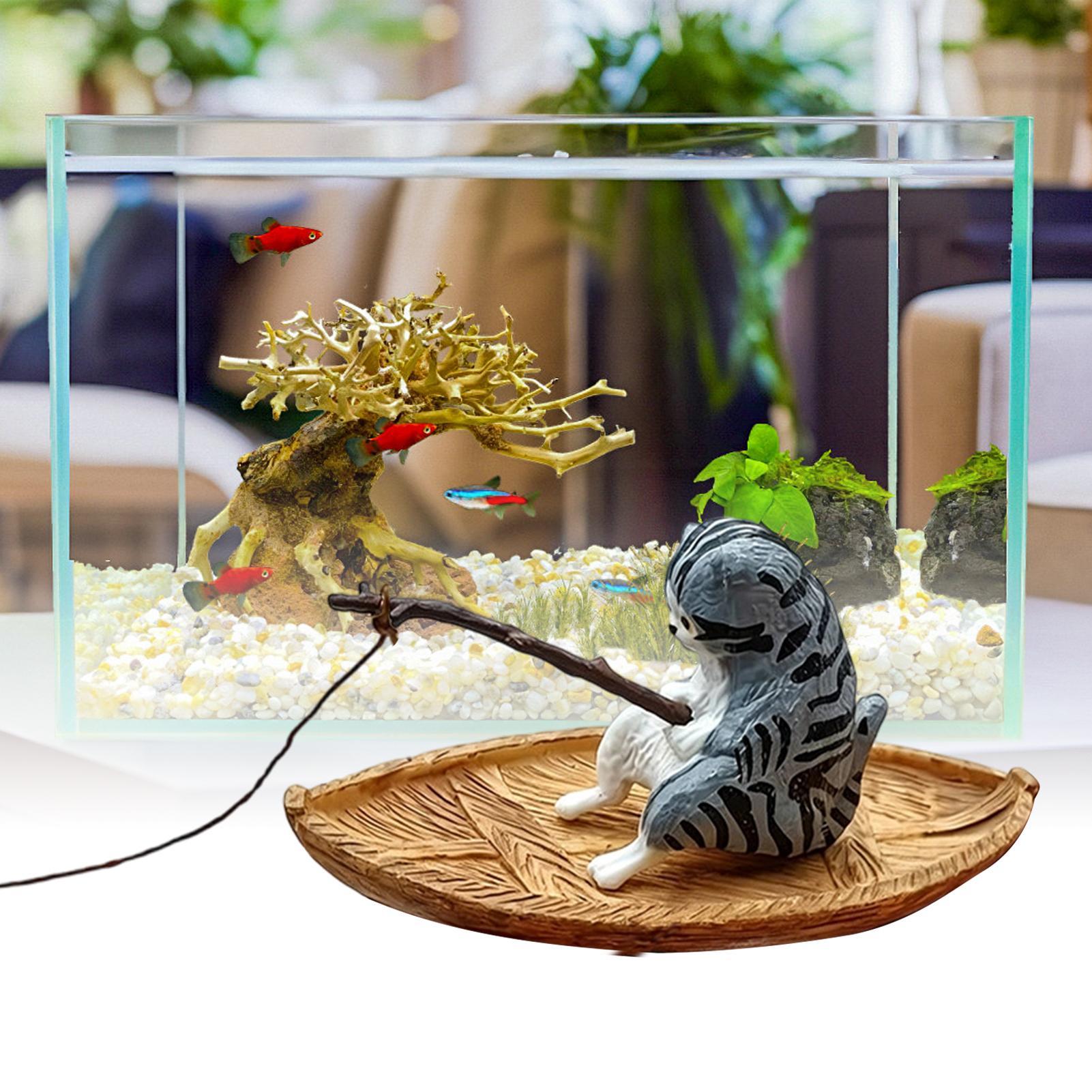 Yaratıcı Kedi Balıkçı Teknesi  - Aquarium Marineland incelemesi ve fiyatı
