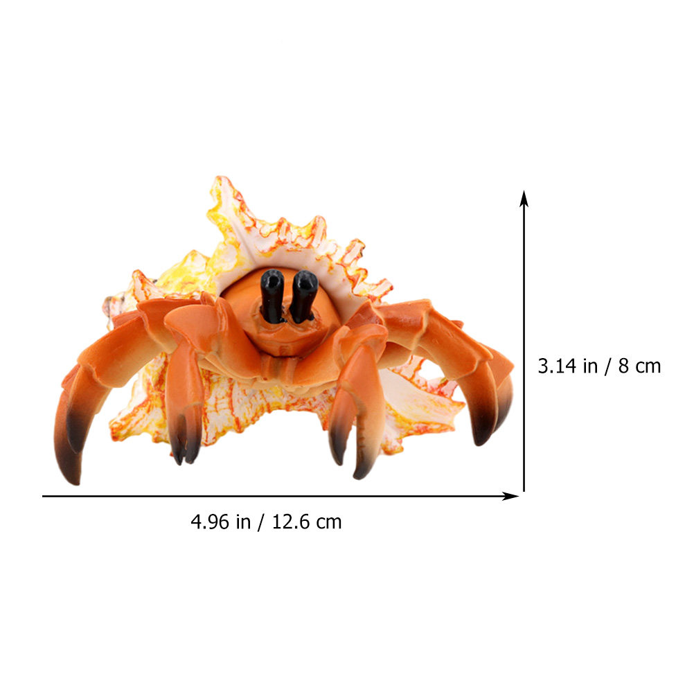 Simülasyon Münzevi Yengeci Yap - Marine Aquarium Europe incelemesi ve fiyatı