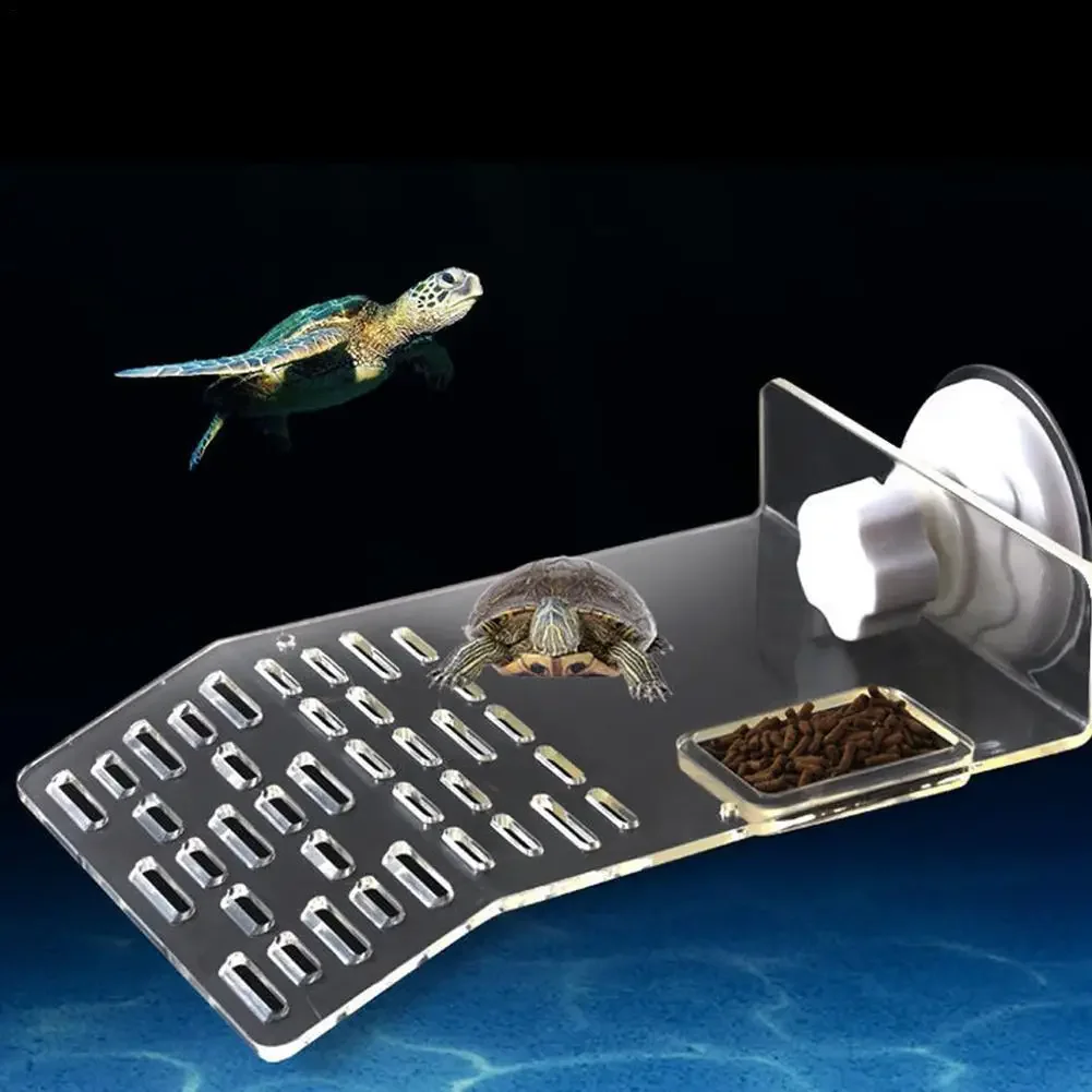 Kaplumbağa İskelesi Yüzer Plat - Aquarium Marineland incelemesi ve fiyatı