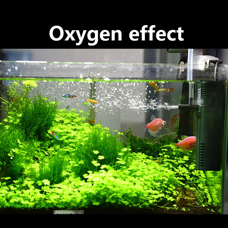 SUNSUN mini nano 111B 311B 611 - Marine Aquarium Chiller incelemesi ve fiyatı